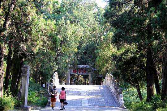 孔子故里园旅游景点图片