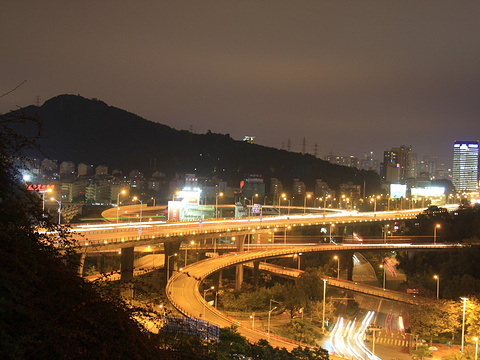 厦门海沧大桥夜景图片